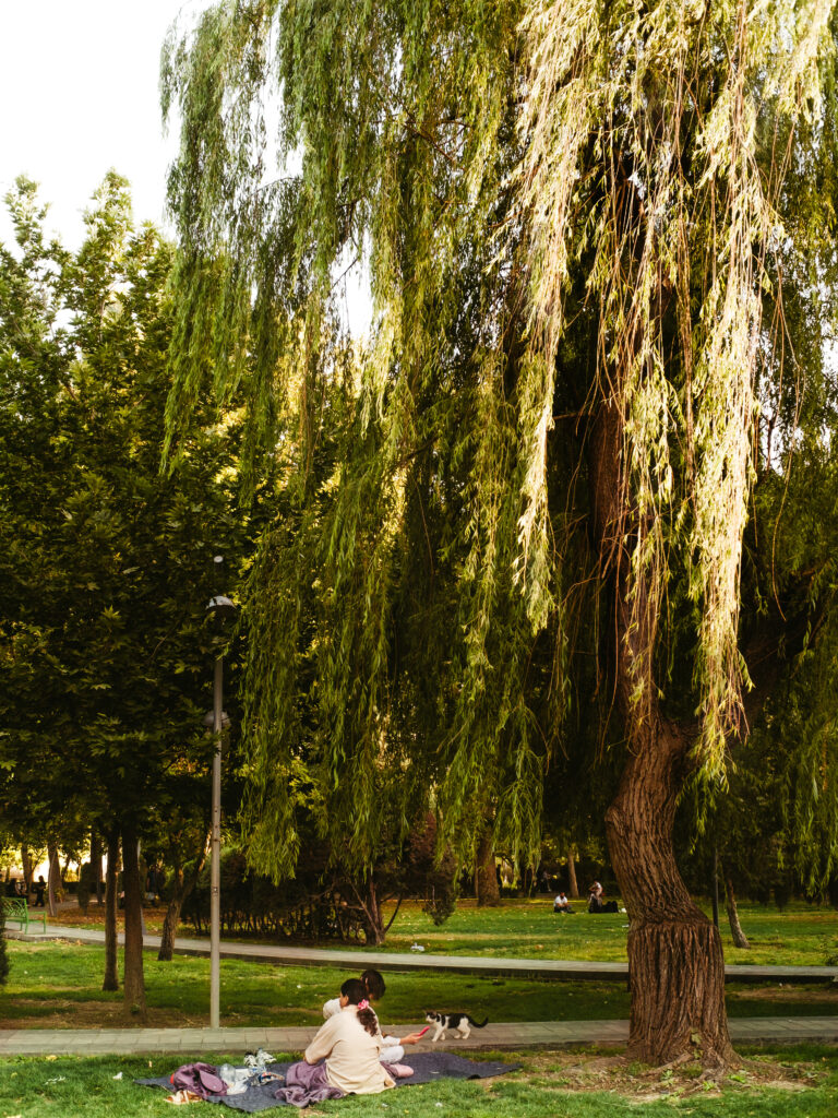 Photo by Amir Abbas Asadi