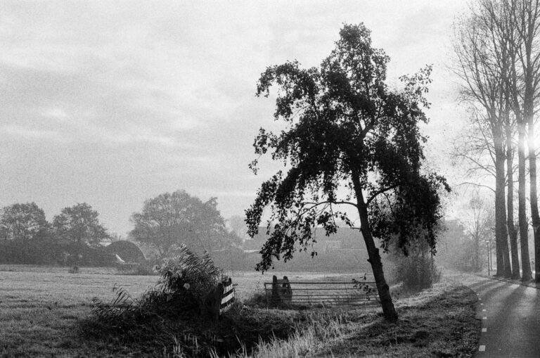 Photo by Hunter Paul