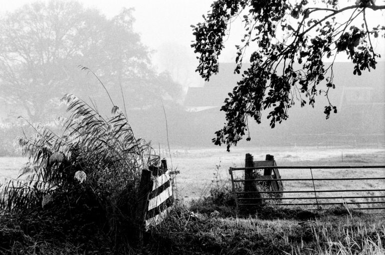 Photo by Hunter Paul