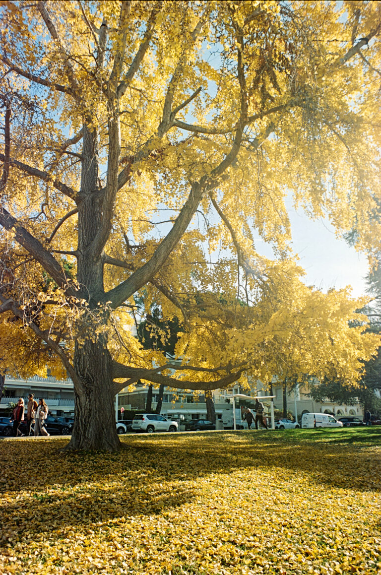 Photo by Valentino Passerini