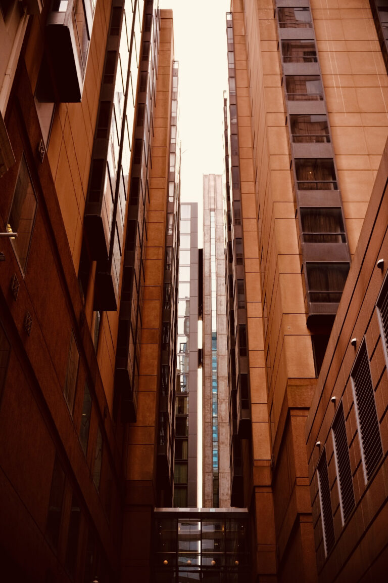 Photo by James Zhang