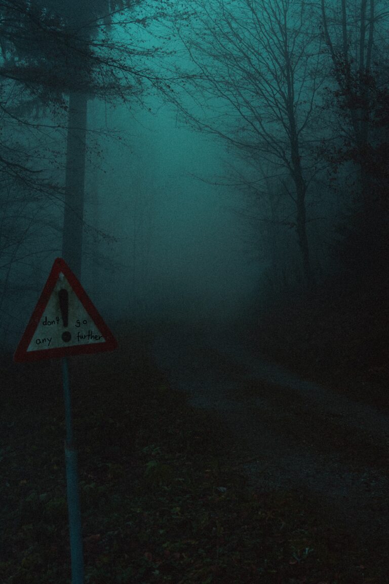 Photo by Nao なお。