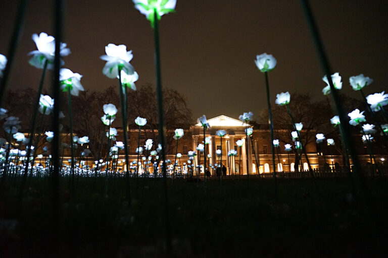 Photo by Franck Toto