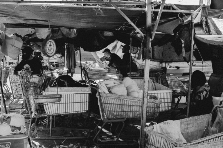 Photo by Jose A. Padilla