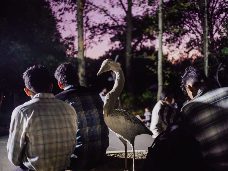 Photo by Amir Abbas Asadi