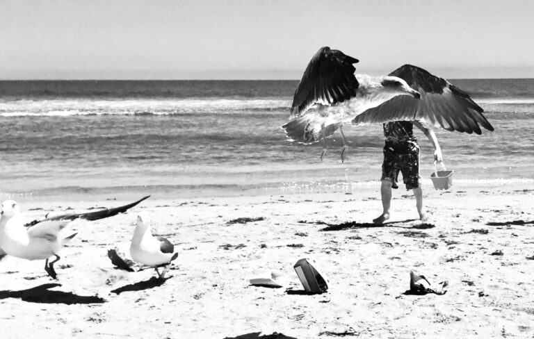 Photo by Melek Photophile