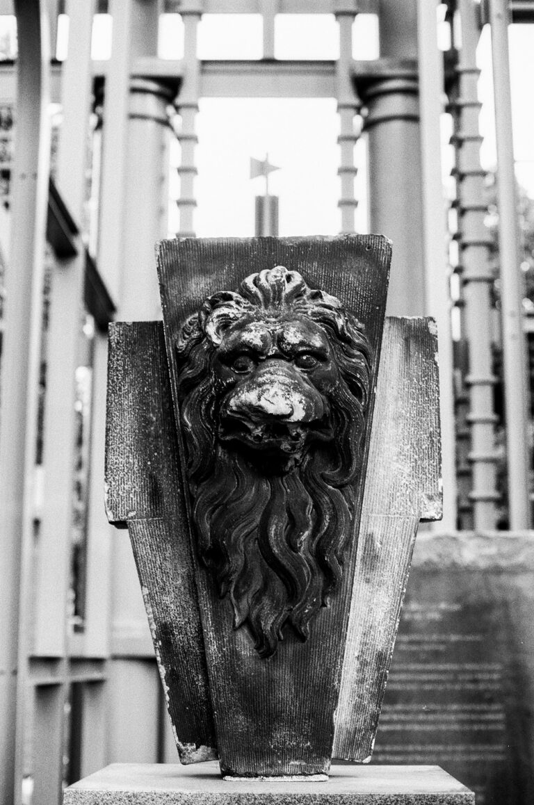 Photo by Hunter Paul