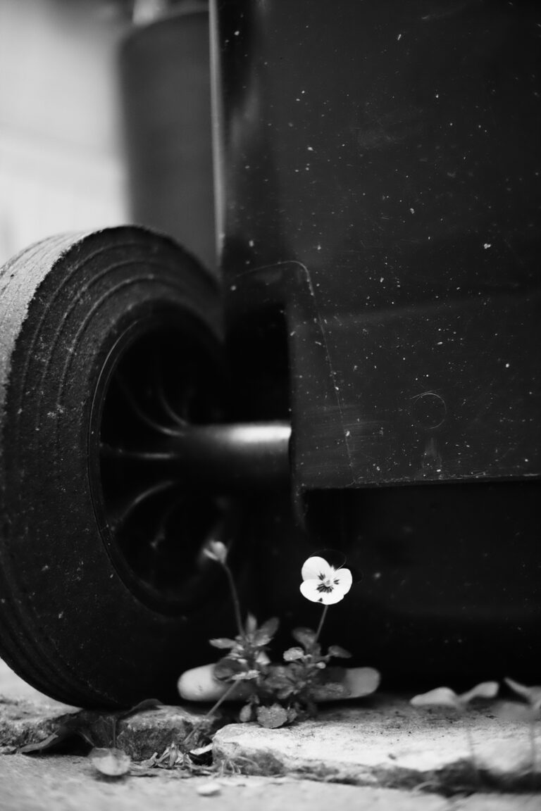 Photo by Jef 📷🍀