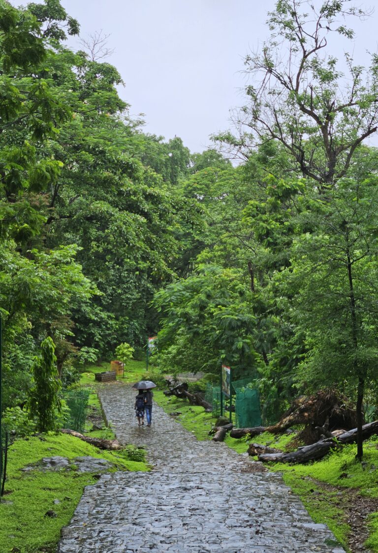 Photo by Durga Agarwal