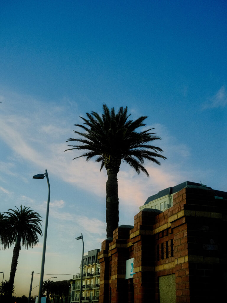 Photo by James Zhang