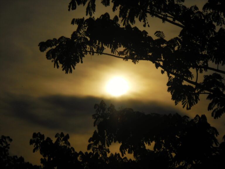 Photo by Fariz Azka Riyandi