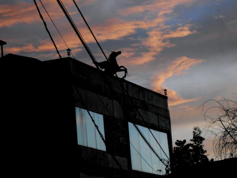 Photo by Fariz Azka Riyandi