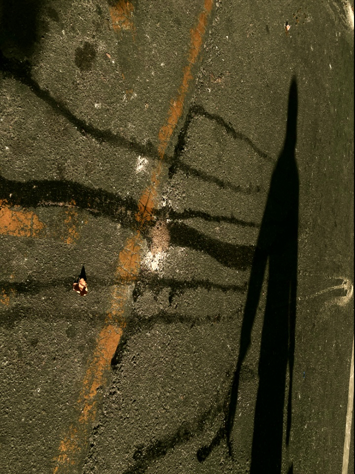 Photo by Marcelo Urtiaga