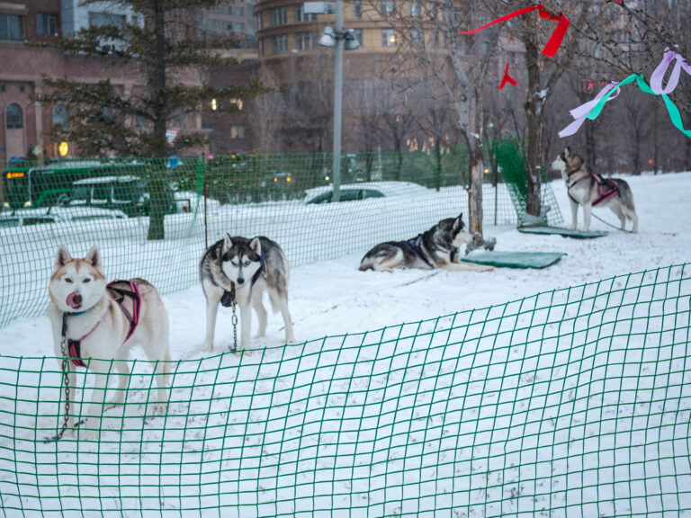 Photo by Arys Mukato