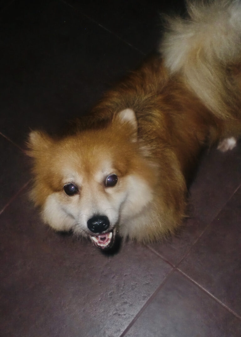 Photo by Wisnu Ananda