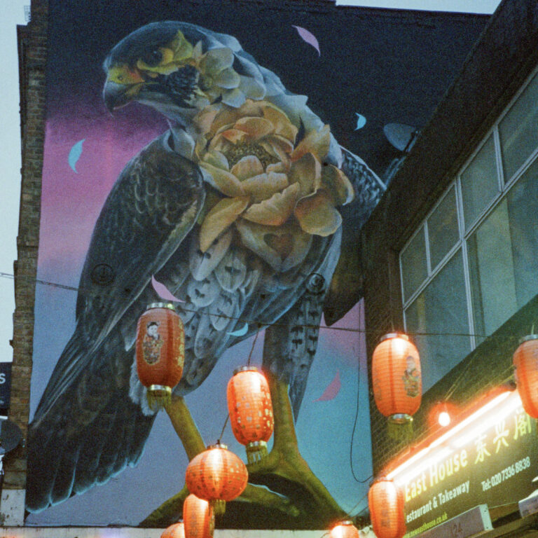 Photo by Steph Kattie