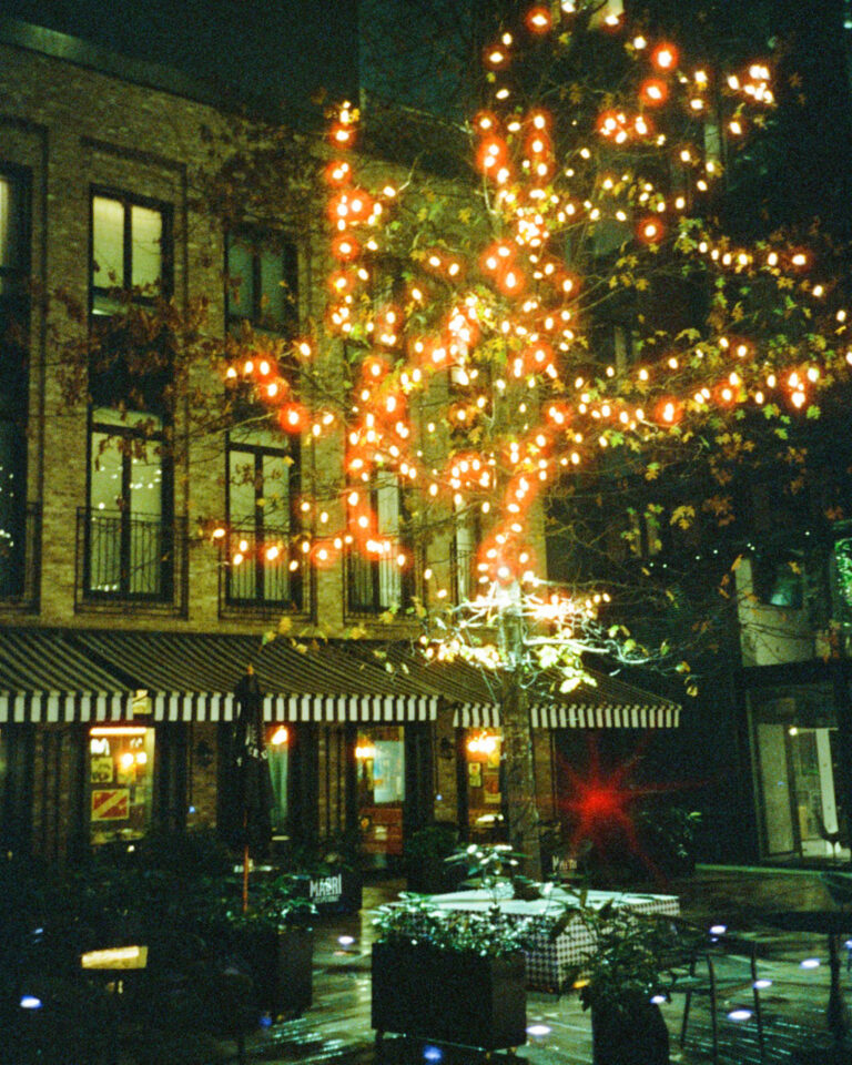 Photo by Steph Kattie