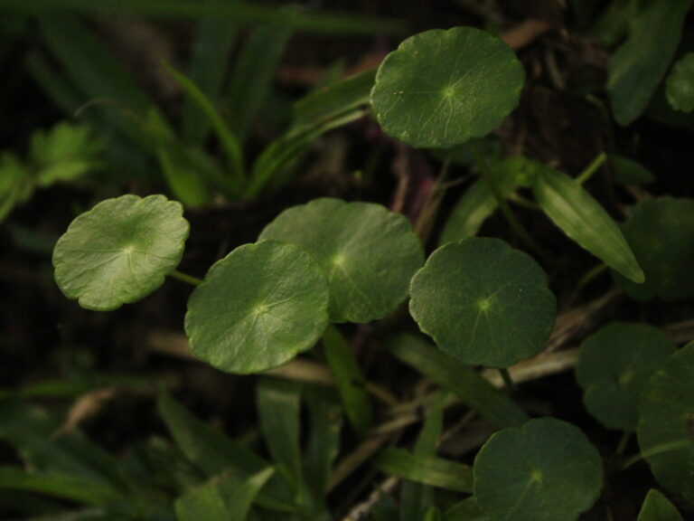 Photo by Muhammad Taufiq Fauzan