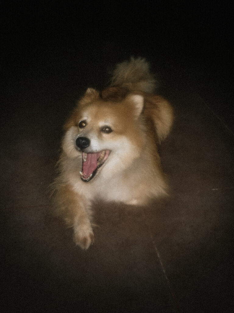 Photo by Wisnu Ananda