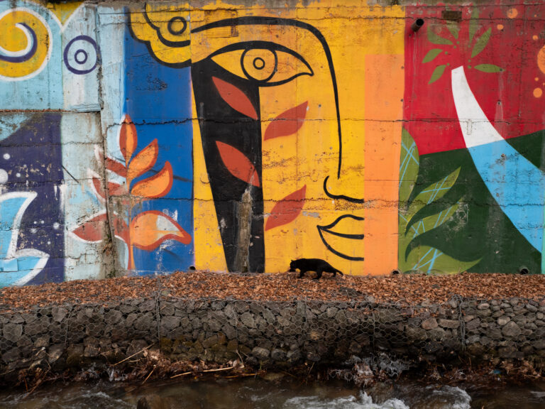 Photo by Dmitry Korol