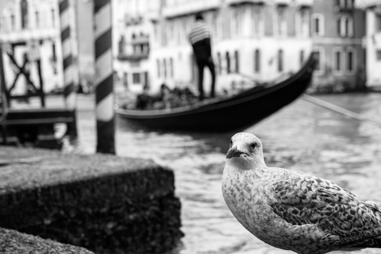 Photo by Thomas Bassetti