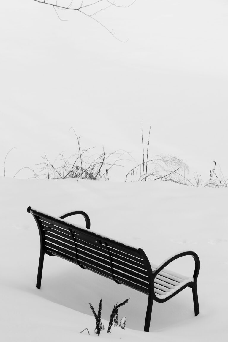 Photo by Manuel Ricardo Pérez