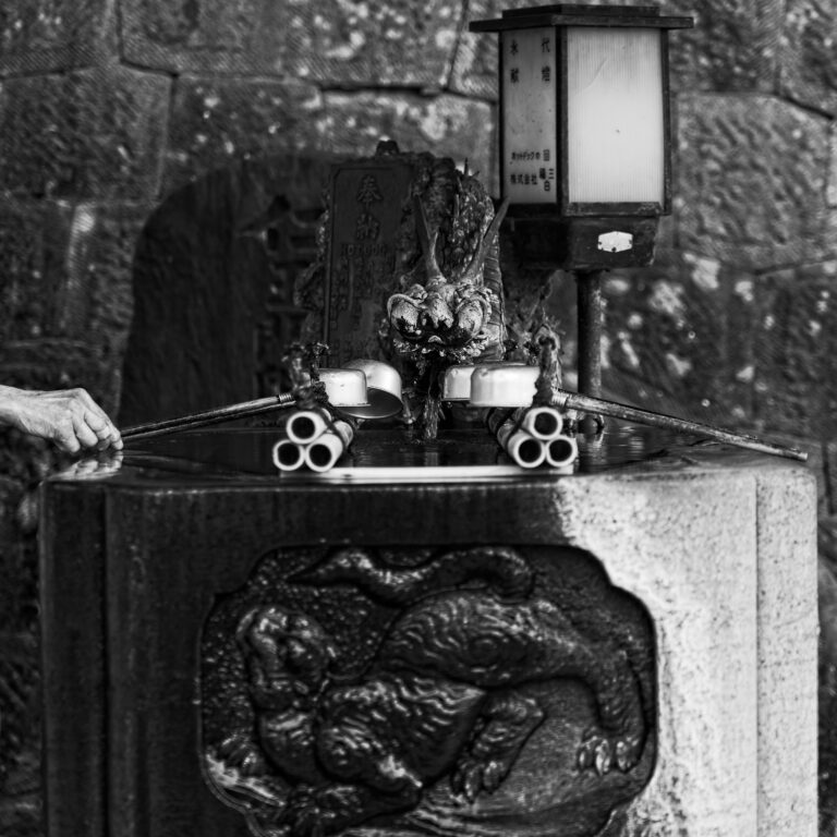 Photo by Mike Carter