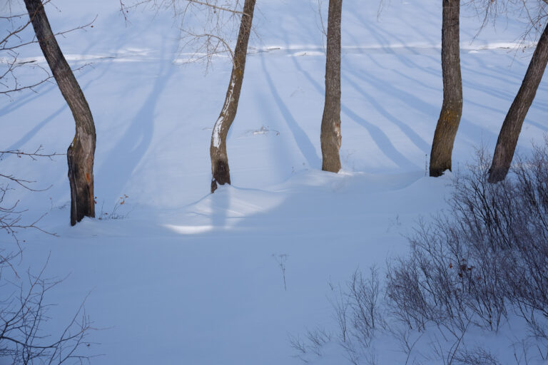 Photo by Sergey Babitov