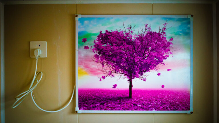 Photo by Alex 艾老师