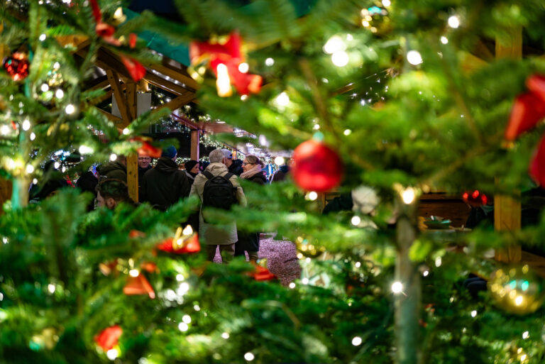 Photo by Thore Siebrands