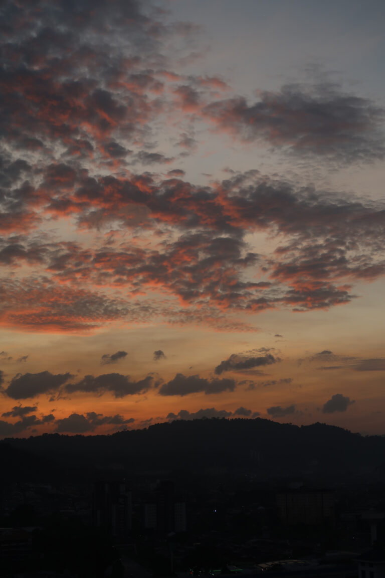 Photo by Esméralda Dynevor