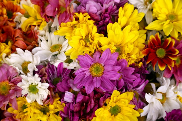 Photo by Toti Santiago