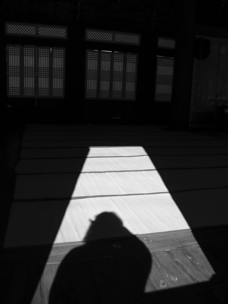 Photo by Emrei Mahdi
