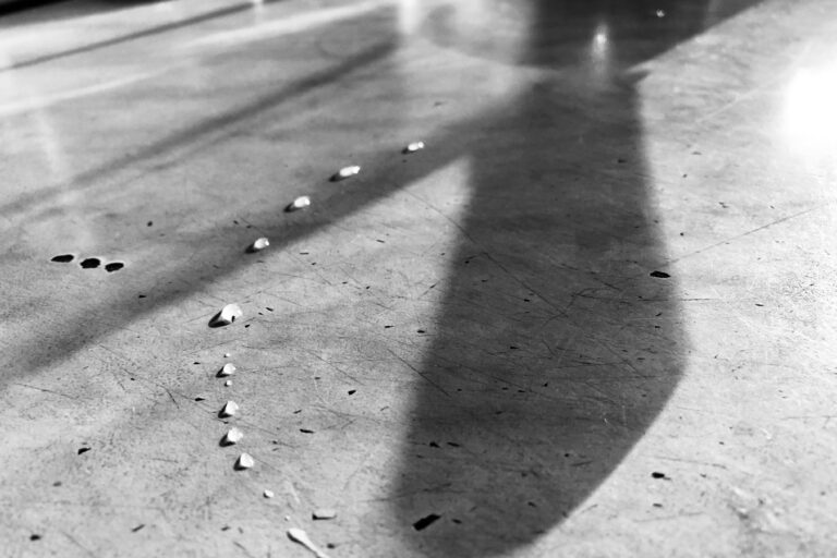 Photo by Ilya Borotinsky