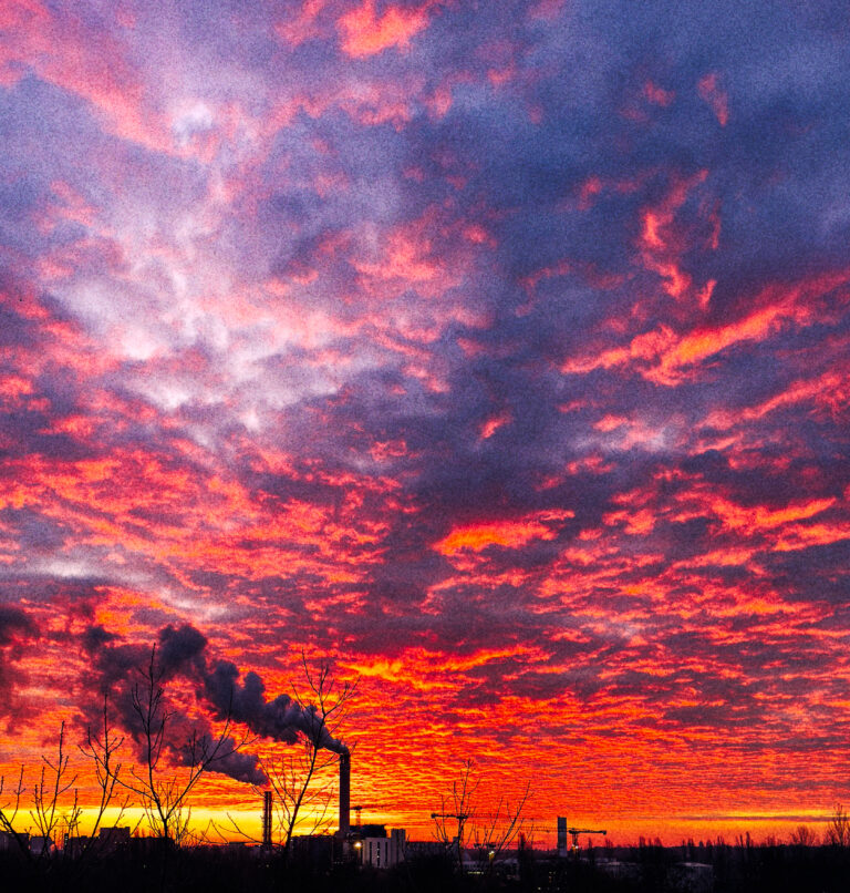 Photo by Istvan Bauer