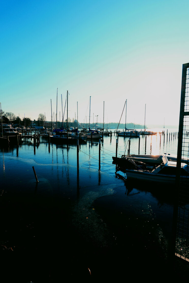 Photo by Istvan Bauer