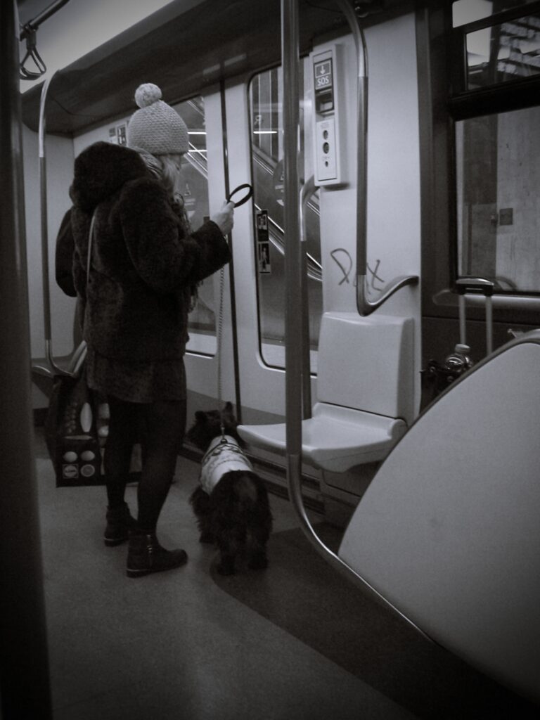 Photo by Eric Lebeau