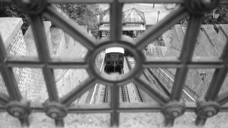 Photo by Monshur Ahmed