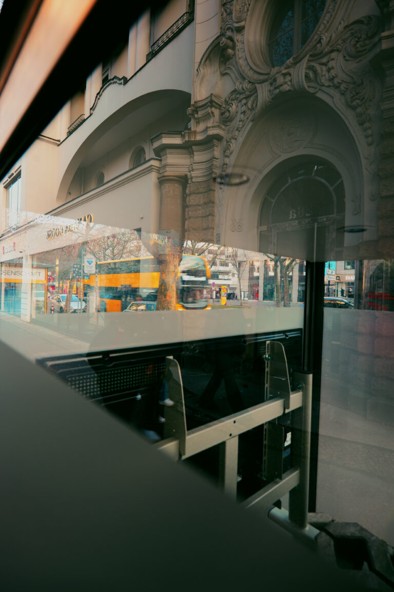 Photo by Istvan Bauer