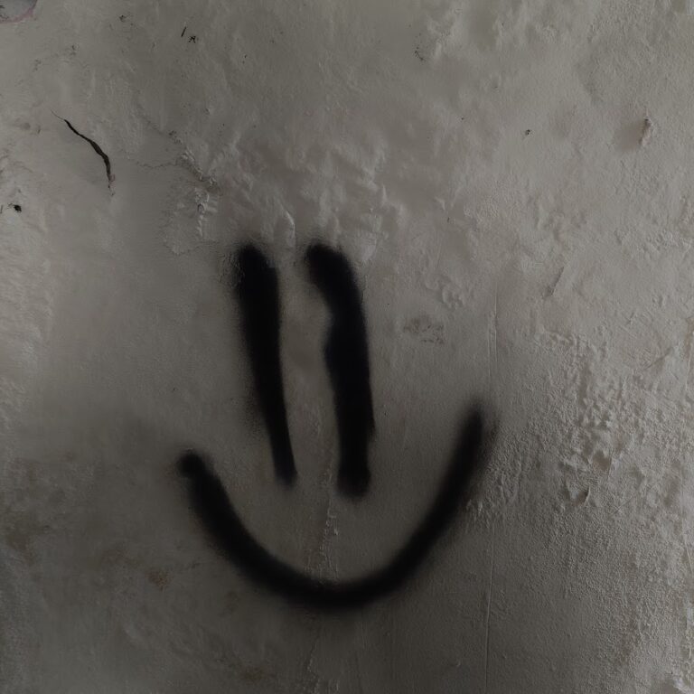 Photo by Dhruv Coppisetti