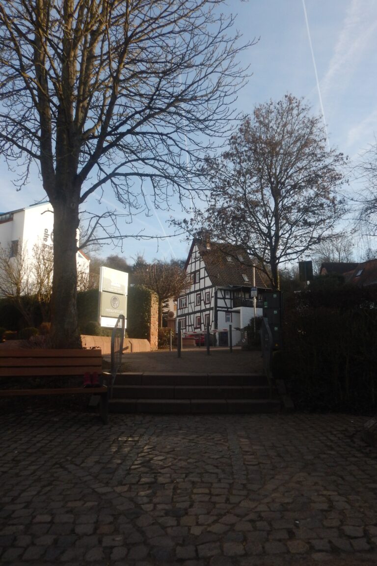 Photo by Diego Binder