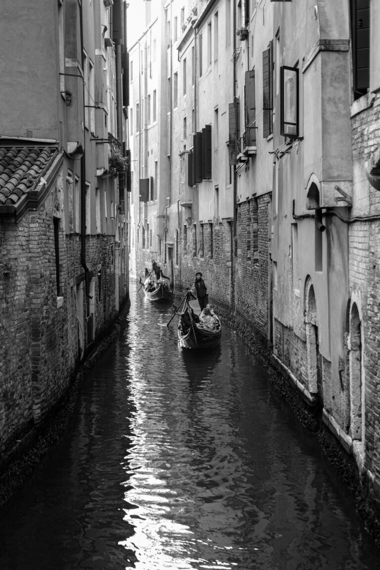 Photo by Thomas Bassetti