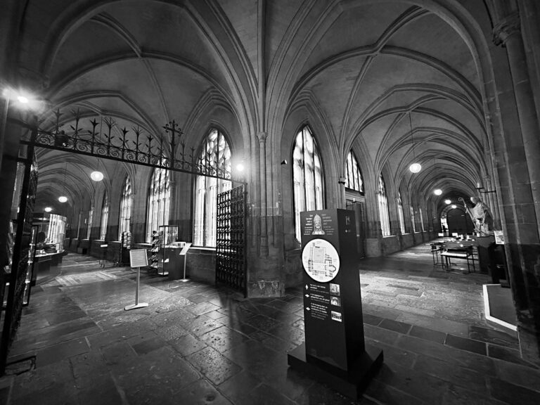 Photo by Franck Toto