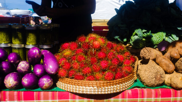 Photo by Mario Alegre