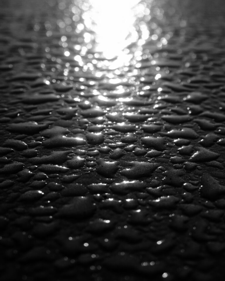 Photo by Mario Alegre