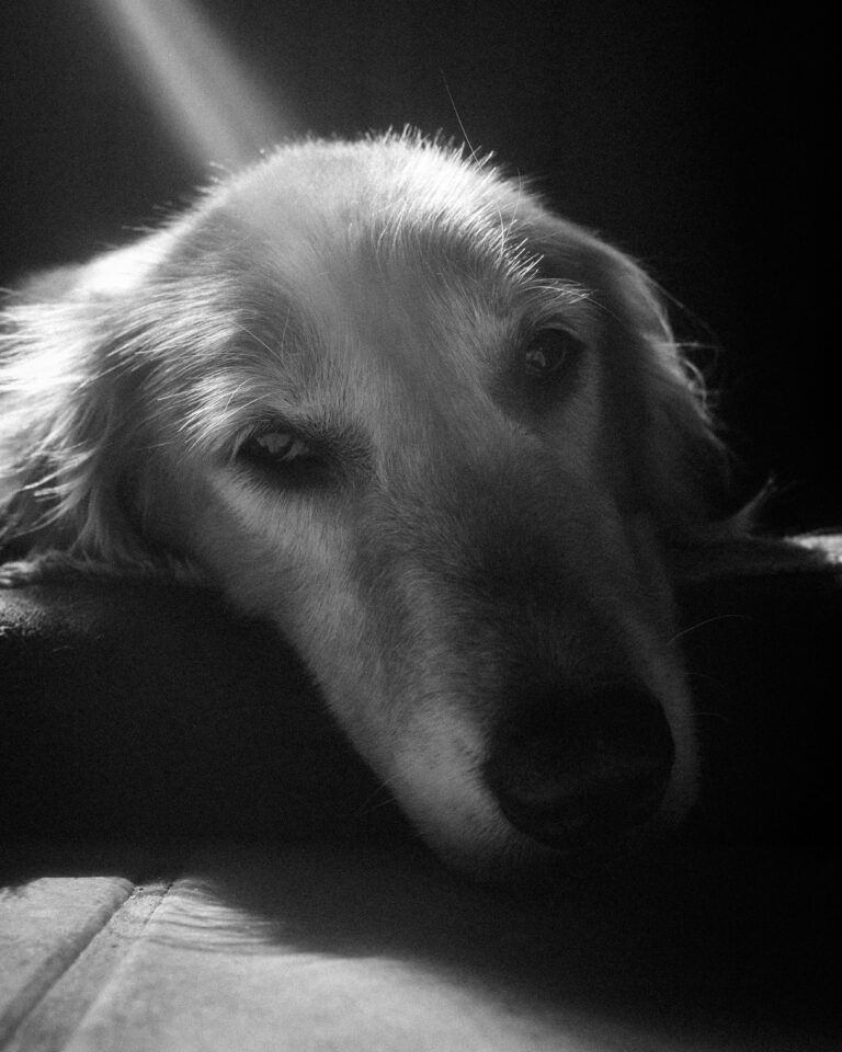 Photo by Mario Alegre