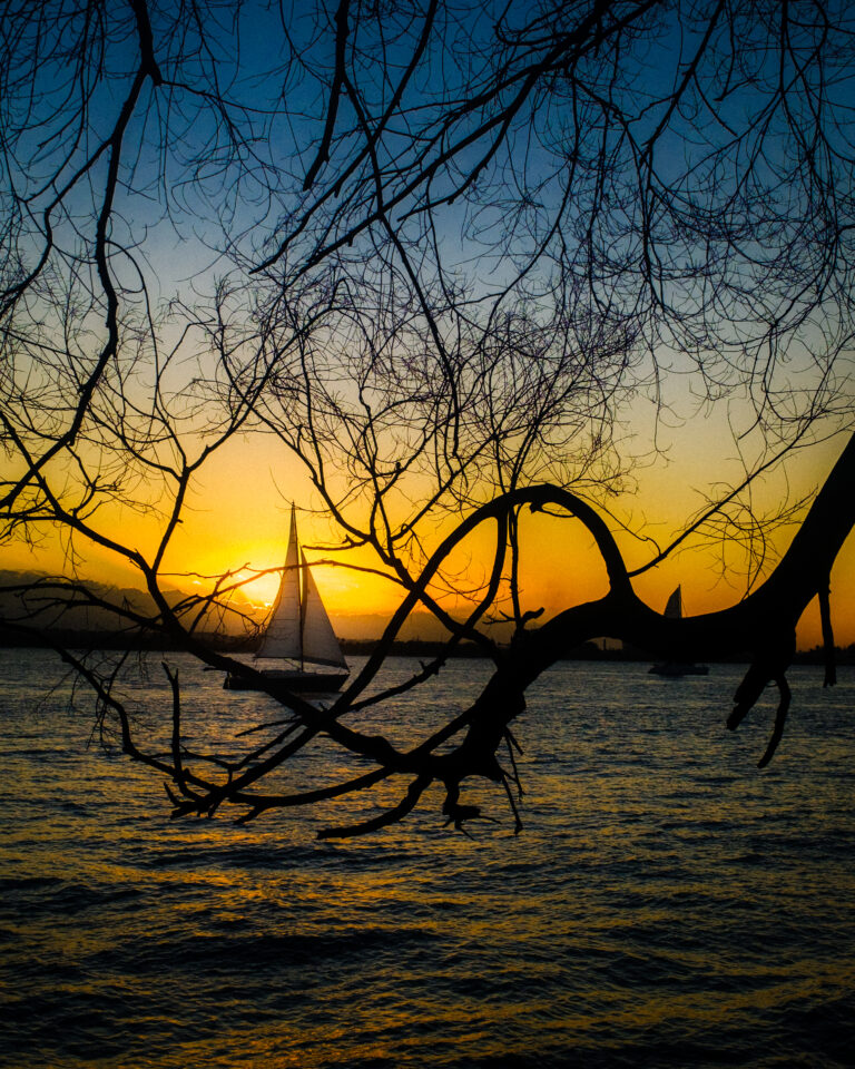 Photo by Mario Alegre