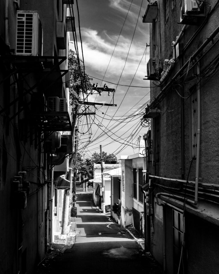 Photo by Mario Alegre