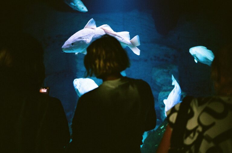 Photo by Christian Michael