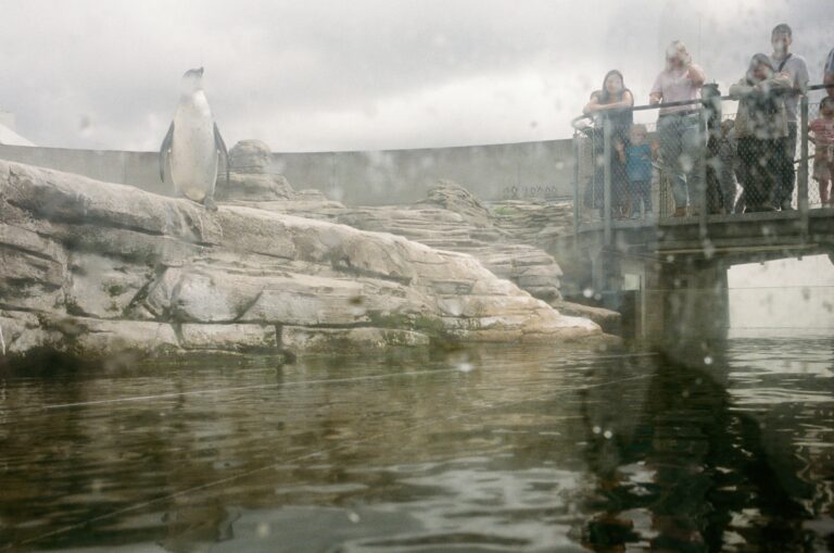 Photo by Christian Michael